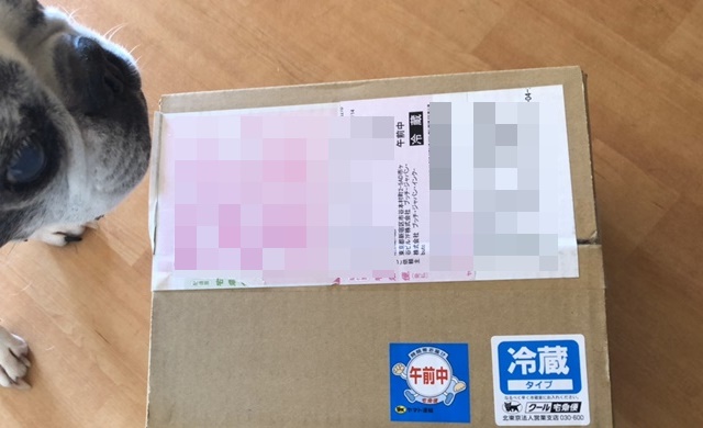ブッチドッグフードのレビュー